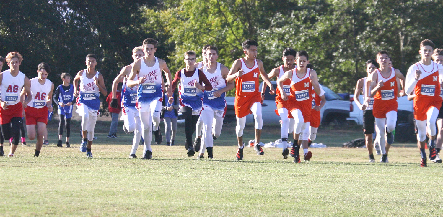 Wood County boys cross country teams from Alba-Golden, Quitman and Mineola accelerate off the starting line at the district meet. the Quitman boys team qualified for regionals with a third place finish.